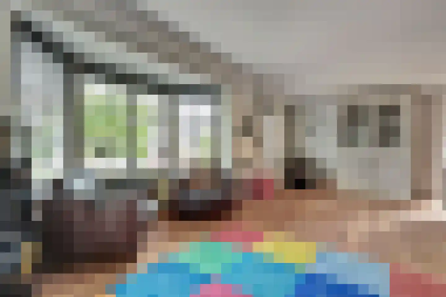 Stellingmolen 38 de Lutte thumbnail 11