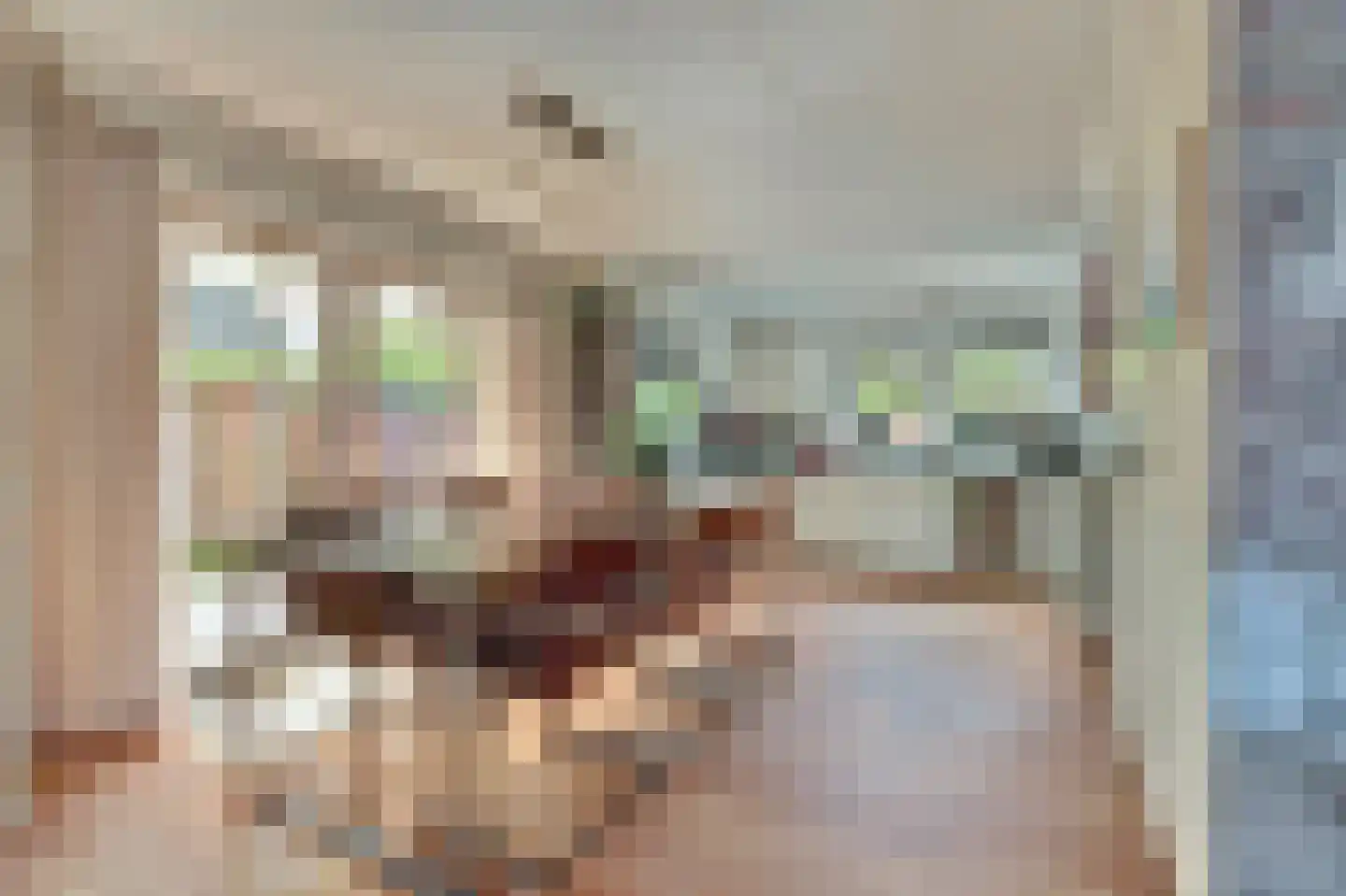 Stellingmolen 38 de Lutte thumbnail 12