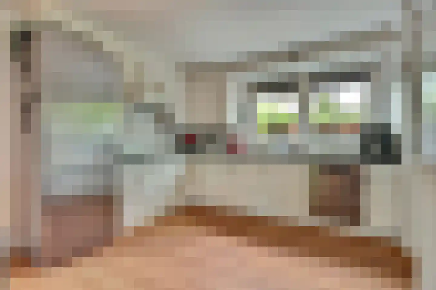 Stellingmolen 38 de Lutte thumbnail 14