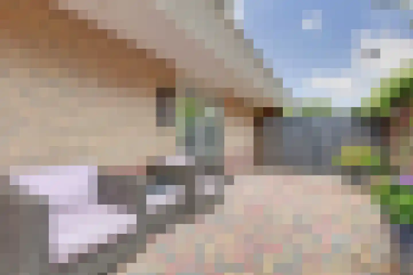Stellingmolen 38 de Lutte thumbnail 27