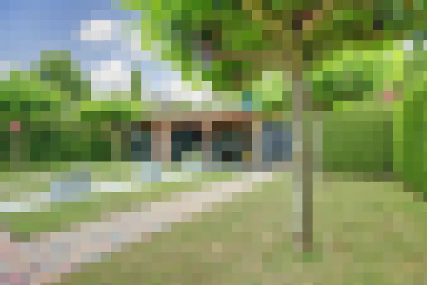 Stellingmolen 38 de Lutte thumbnail 28