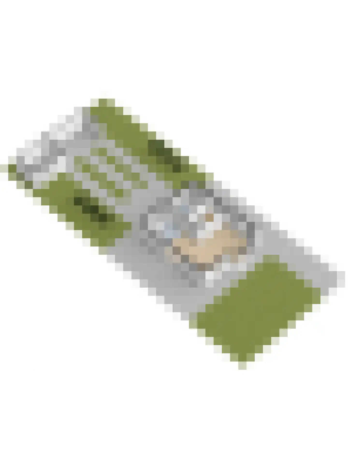 Stellingmolen 38 de Lutte thumbnail 38