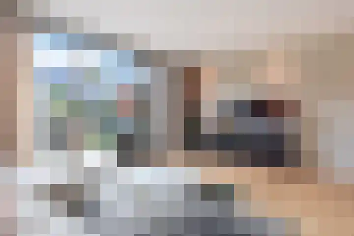 Stellingmolen 5 Pijnacker thumbnail 10