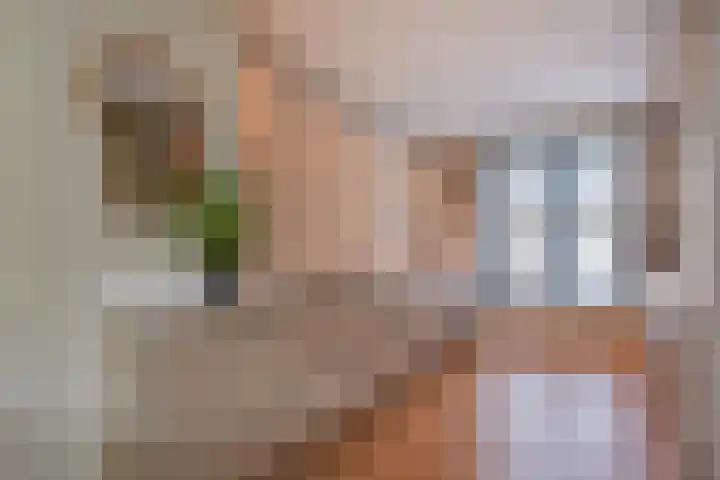Stellingmolen 5 Pijnacker thumbnail 13