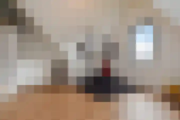 Stellingmolen 5 Pijnacker thumbnail 22