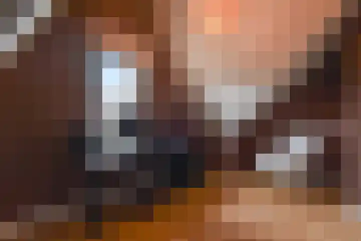 Stellingmolen 5 Pijnacker thumbnail 24