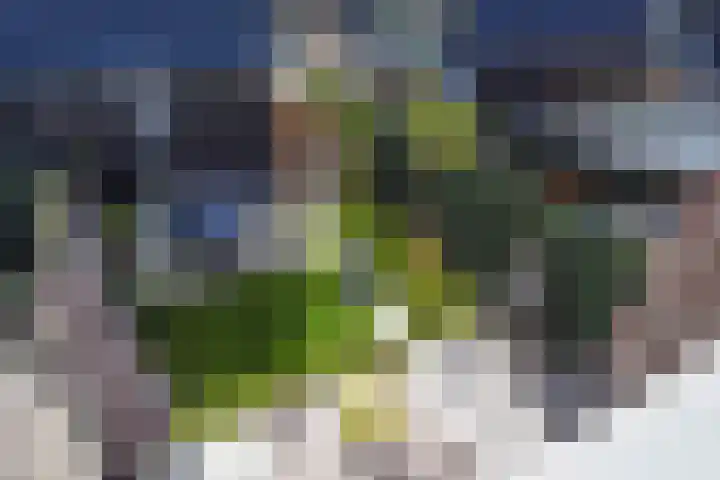 Stellingmolen 5 Pijnacker thumbnail 25