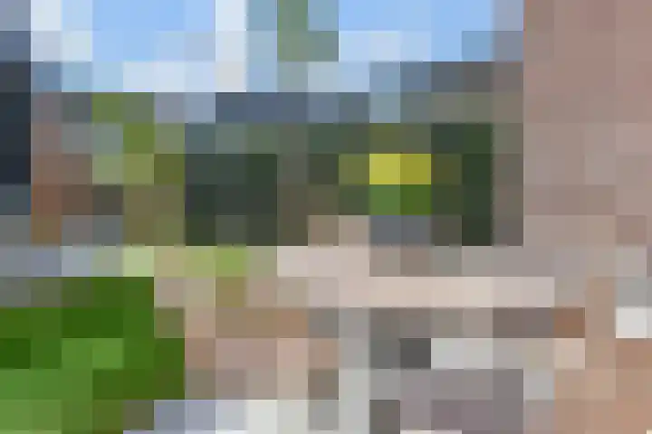 Stellingmolen 5 Pijnacker thumbnail 26