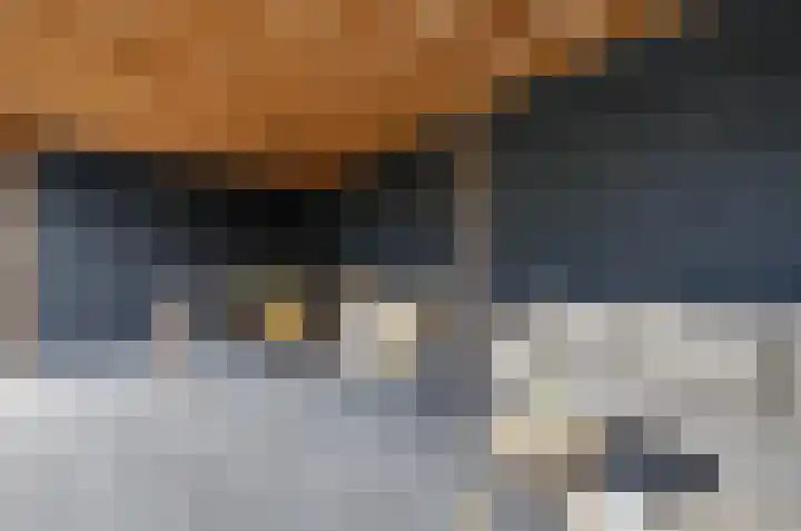 Stellingmolen 5 Pijnacker thumbnail 29