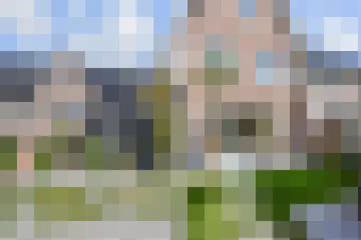 Stellingmolen 5 Pijnacker thumbnail 30