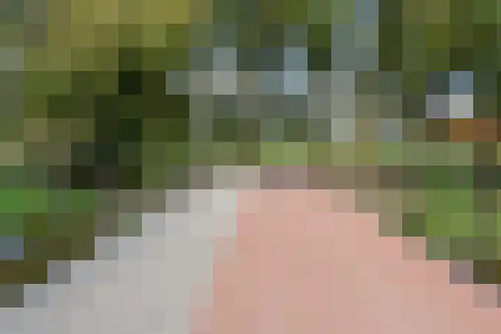 Stellingmolen 5 Pijnacker thumbnail 32