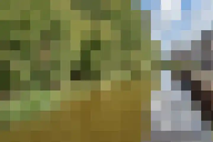 Stellingmolen 5 Pijnacker thumbnail 33