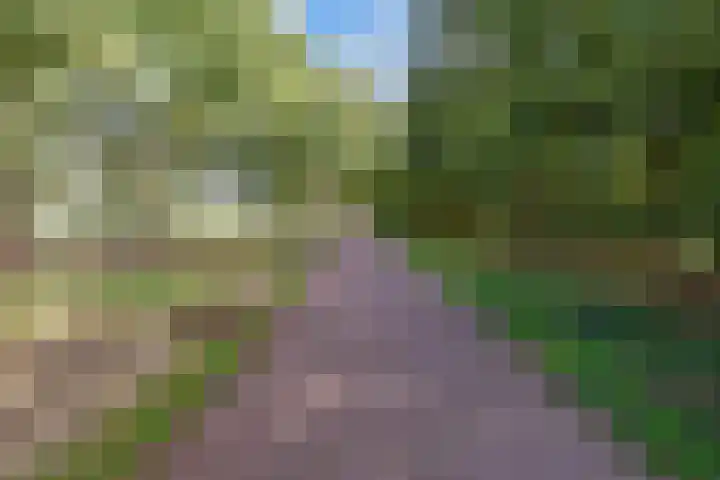 Stellingmolen 5 Pijnacker thumbnail 34