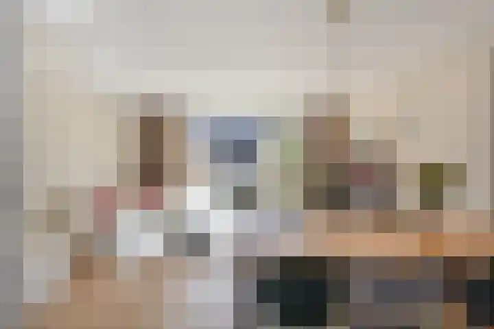 Stellingmolen 5 Pijnacker thumbnail 9