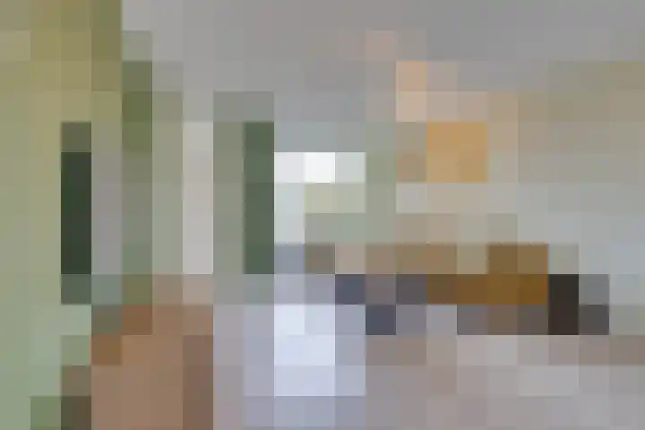 Stellingmolen 8 Edam thumbnail 11