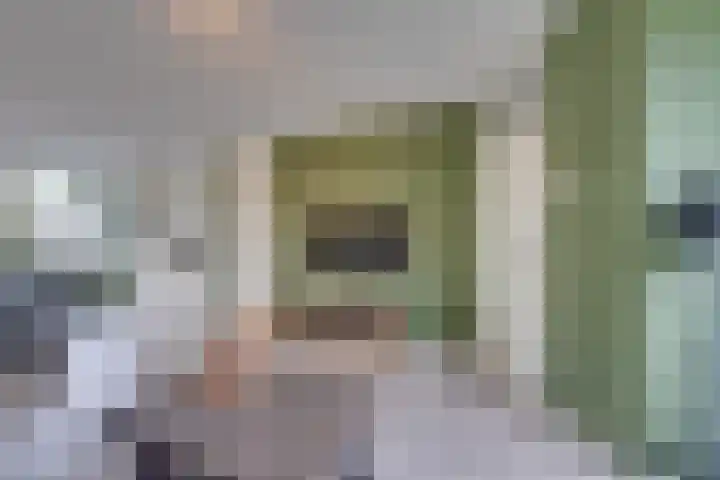Stellingmolen 8 Edam thumbnail 14