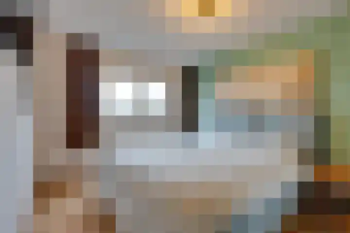 Stellingmolen 8 Edam thumbnail 29