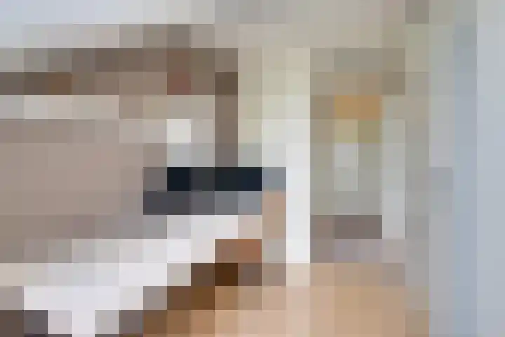 Stellingmolen 8 Edam thumbnail 38