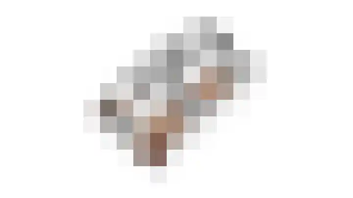 Stellingmolen 8 Edam thumbnail 50