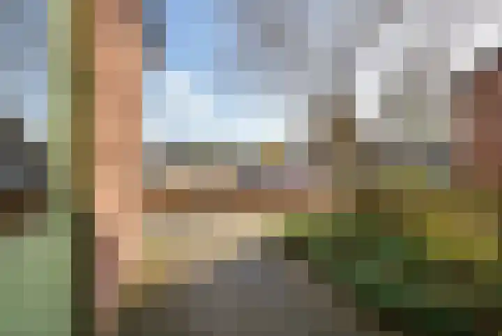 Stellingmolen 8 Edam thumbnail 7