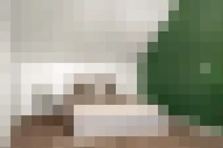 Stellingmolenstraat 36 Almere thumbnail 43