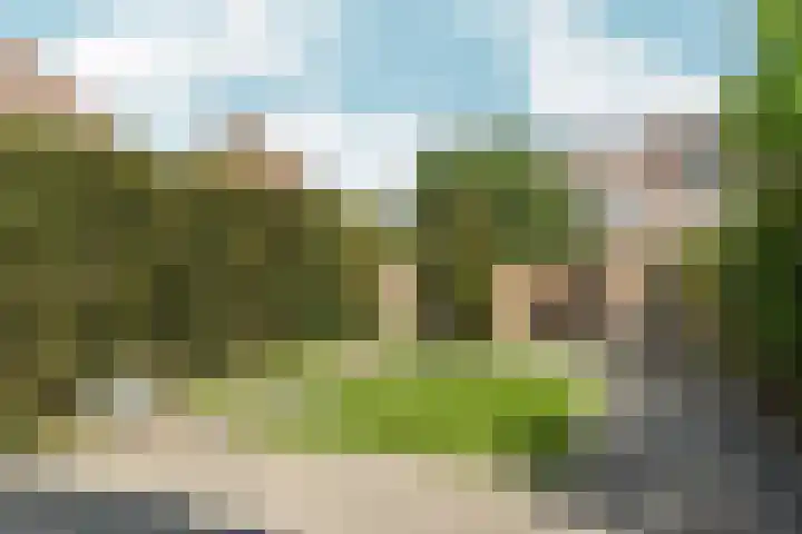 Stellingmolenstraat 36 Almere thumbnail 49