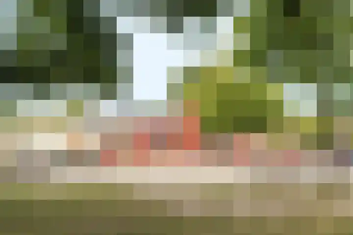 Stellingmolenstraat 36 Almere thumbnail 68
