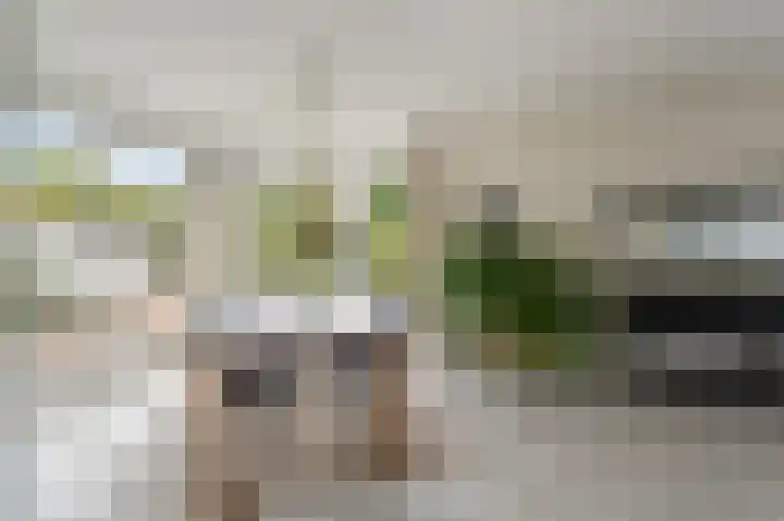 Stellingwerf 11 Emmeloord thumbnail 12