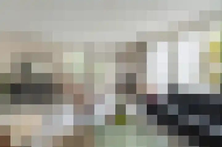 Stellingwerf 11 Emmeloord thumbnail 17
