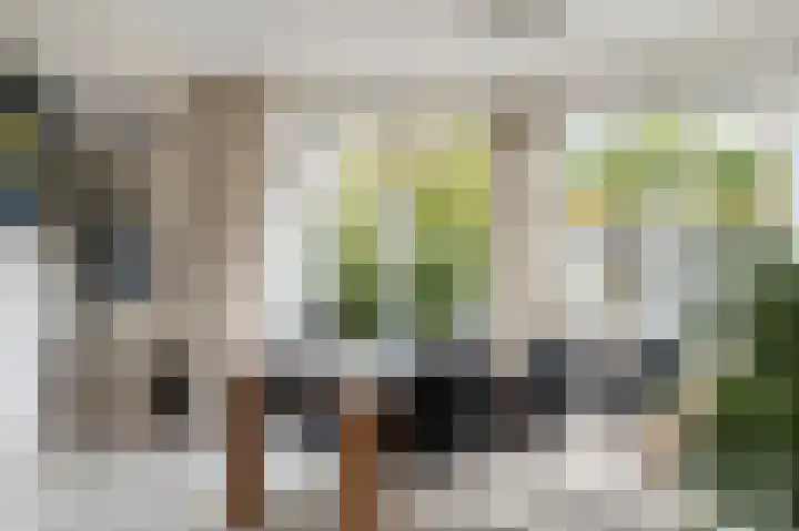 Stellingwerf 11 Emmeloord thumbnail 18