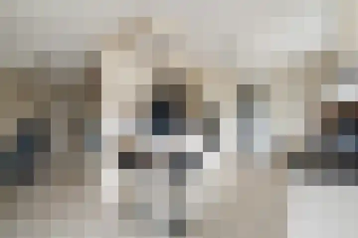 Stellingwerf 11 Emmeloord thumbnail 20
