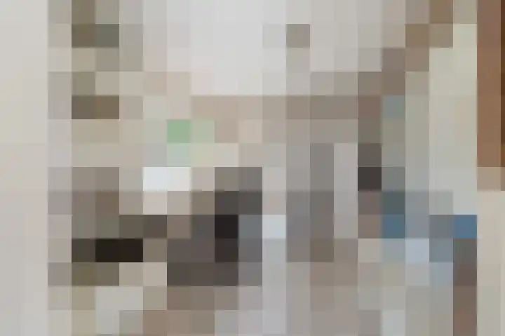 Stellingwerf 11 Emmeloord thumbnail 21
