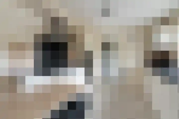 Stellingwerf 11 Emmeloord thumbnail 23