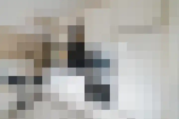Stellingwerf 11 Emmeloord thumbnail 24