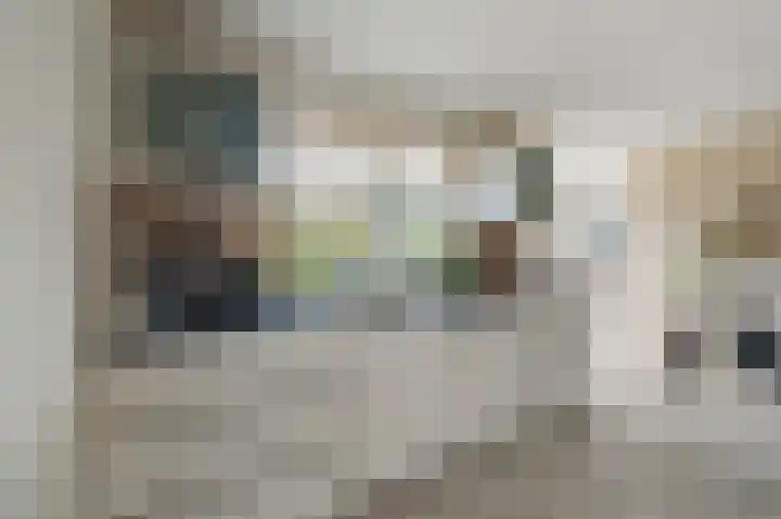 Stellingwerf 11 Emmeloord thumbnail 25