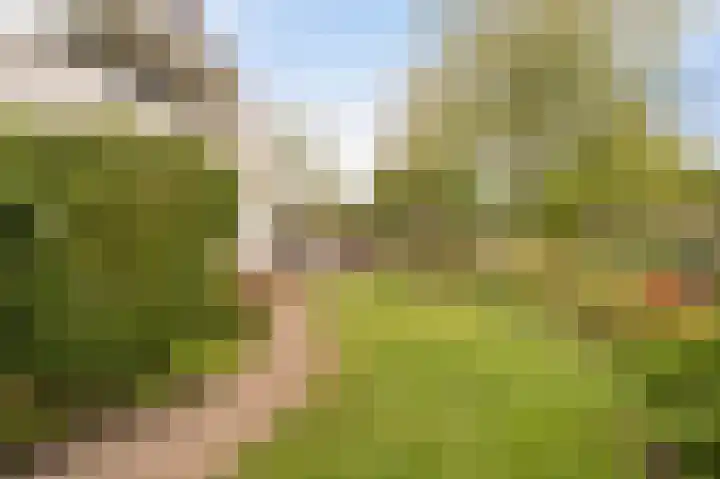 Stellingwerf 11 Emmeloord thumbnail 39