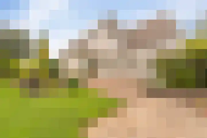 Stellingwerf 11 Emmeloord thumbnail 4