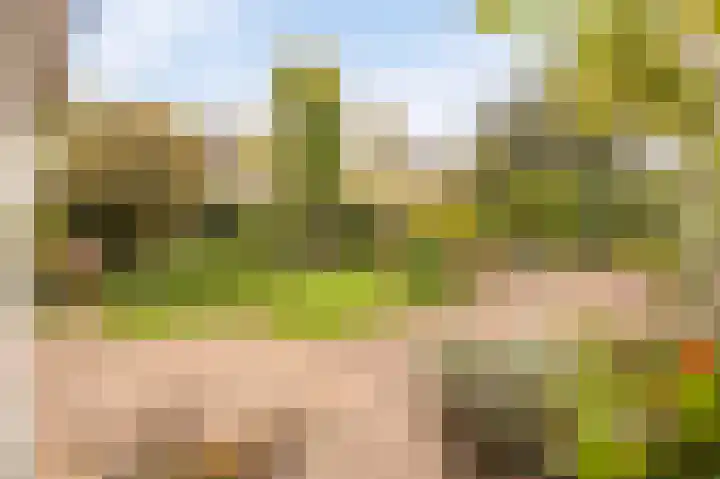 Stellingwerf 11 Emmeloord thumbnail 40