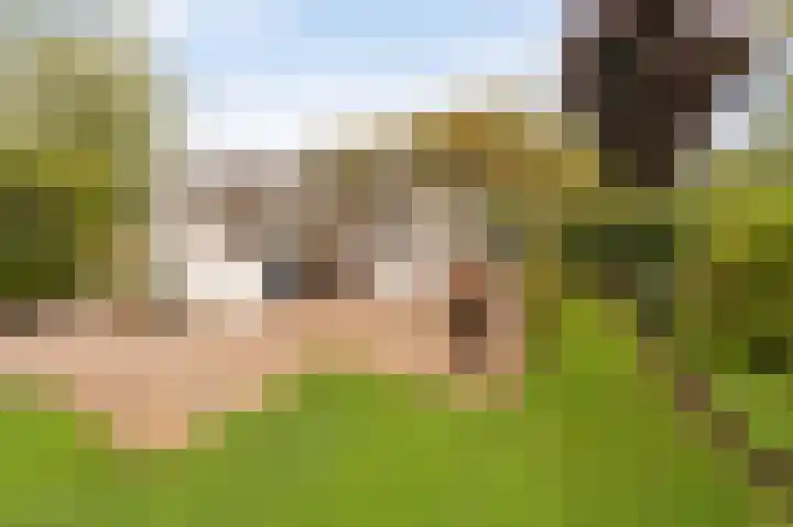 Stellingwerf 11 Emmeloord thumbnail 41