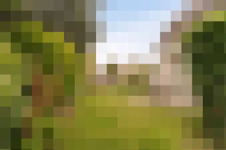 Stellingwerf 11 Emmeloord thumbnail 44