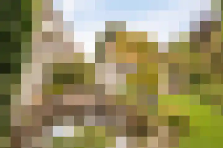 Stellingwerf 11 Emmeloord thumbnail 46