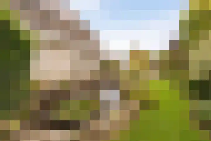 Stellingwerf 11 Emmeloord thumbnail 47