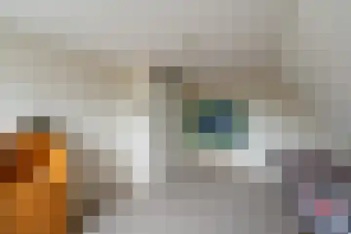 Stellingwerf 11 Emmeloord thumbnail 63