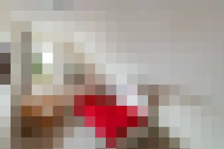 Stellingwerf 11 Emmeloord thumbnail 66
