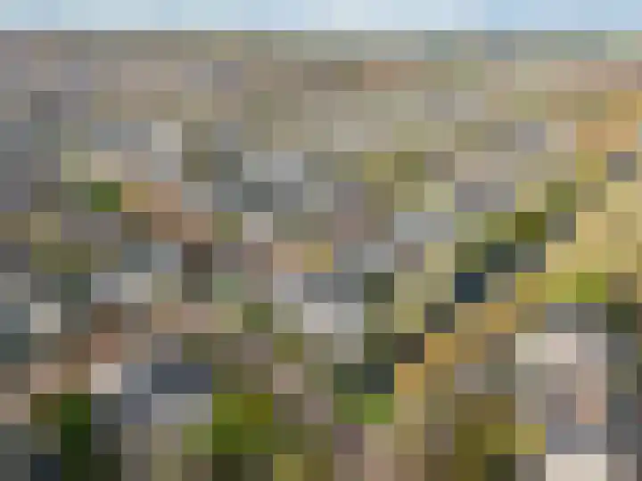Stellingwerf 11 Emmeloord thumbnail 73