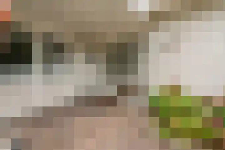 Stellingwerf 11 Emmeloord thumbnail 8