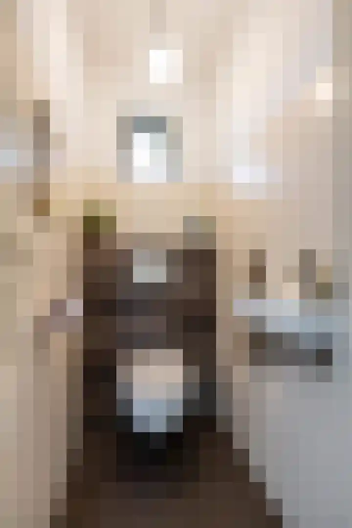 Stelmaker 16 Peize thumbnail 10