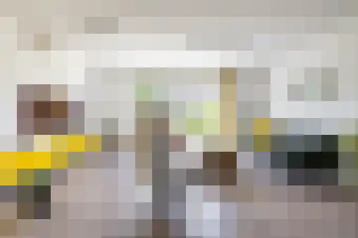Stelmaker 16 Peize thumbnail 11