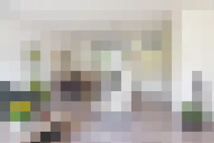 Stelmaker 16 Peize thumbnail 12