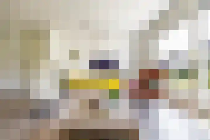 Stelmaker 16 Peize thumbnail 13